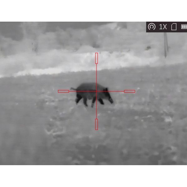 Thermal sight AGM Rattler TS25-384 (384x288) 882m