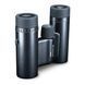 Бинокль Vanguard Vesta Compact 10x21 WP Black Pearl 4159 фото 7