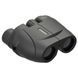 Бинокль Leupold BX-1 Rogue 10x25 Compact 0970 фото 2