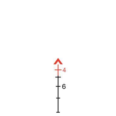 TRIJICON ACOG / 4x32 LED Red Chevron .223/5.56 BDC Rifle Scope