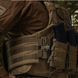 Combat Body Armor IBV-1 Coyote