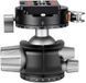 Leofoto LH-36PCL+NP-50 Ball Head with ARCA Clamp. Ball: 36 mm