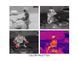 Thermal imager AGM Taipan TM10-256, 458 meters, 256x192 sensor, 720x540 display, thermal imager