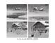 Thermal imager AGM Taipan TM10-256, 458 meters, 256x192 sensor, 720x540 display, thermal imager